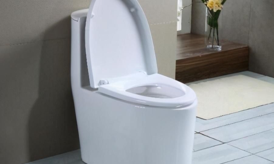 蹲便器|为什么越来越多人不在卫生间里装马桶?原来现在都流行这种设计