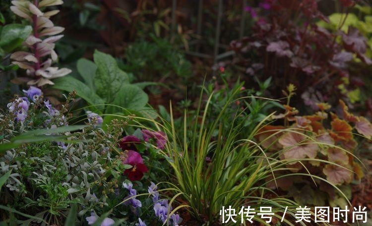 小院|荒废多年的80㎡小院，2年半时间打造成下沉式花园，太漂亮了！