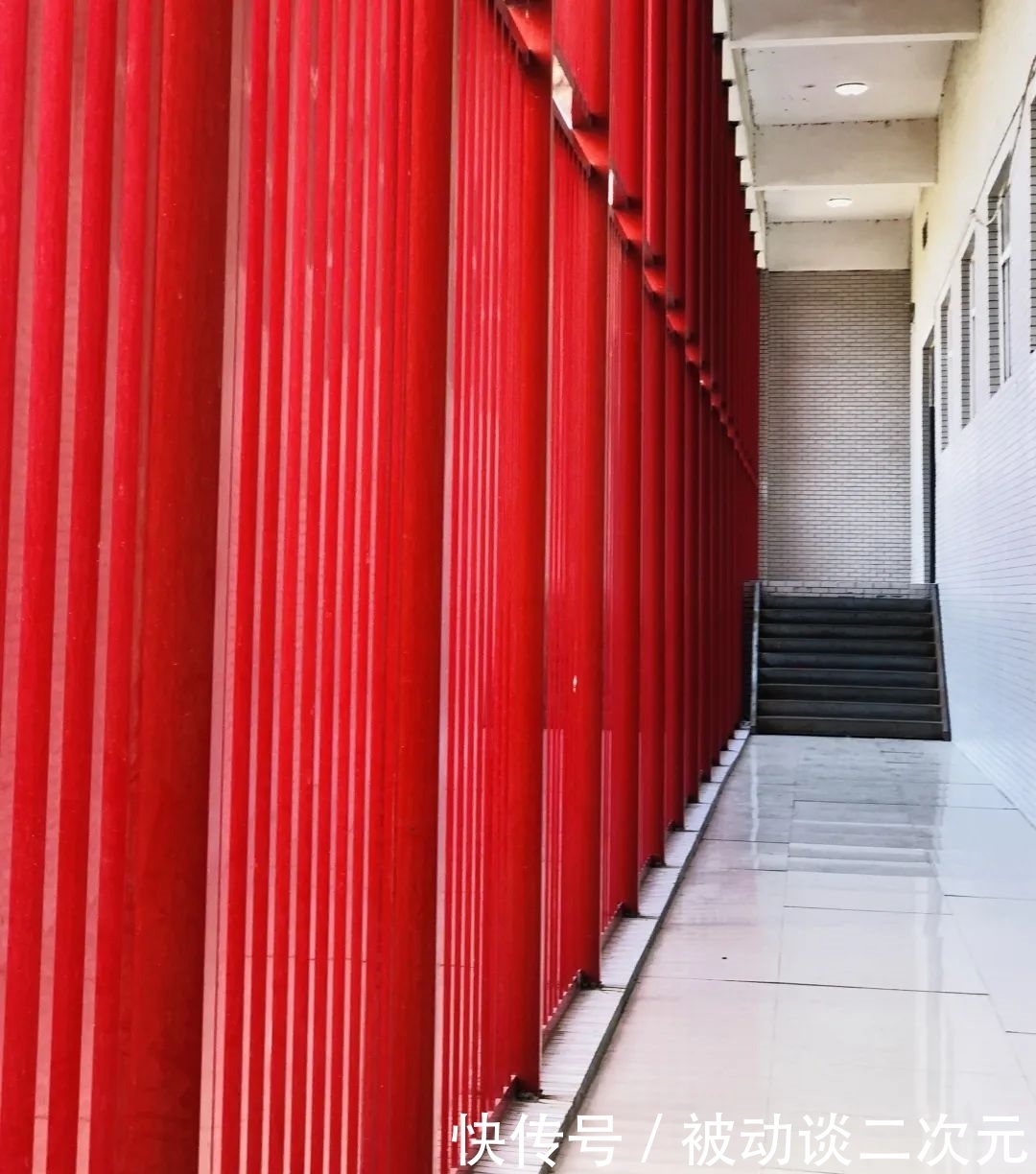 郑州电专|郑州电专“练习生”正式出道!