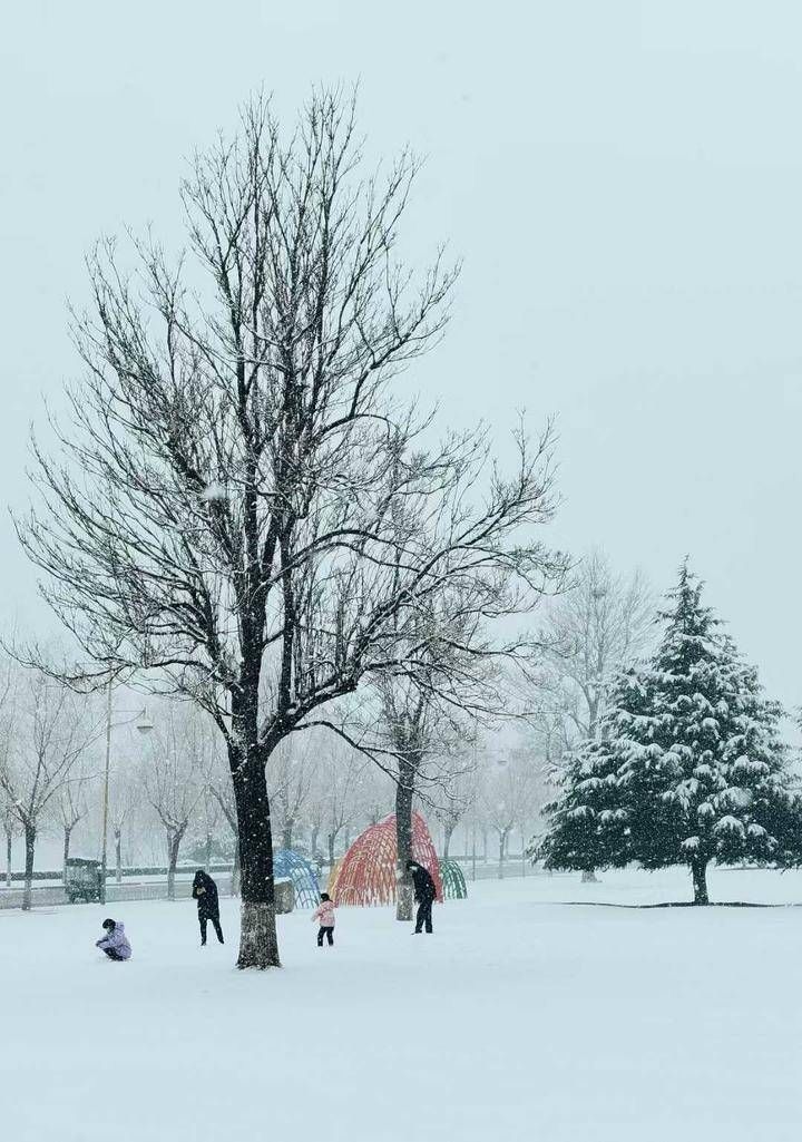 老婆子|2022年的又一场雪