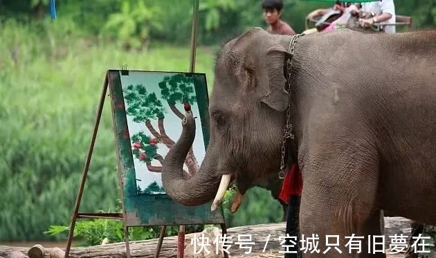 购车&十个冷知识:尽可能不要全款去购车!