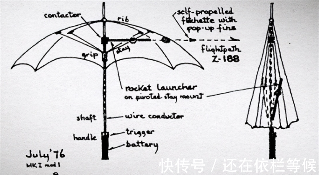 毒药|农村常见的蓖麻，却是暗杀界完美毒药，很多人小时候吃过玩过