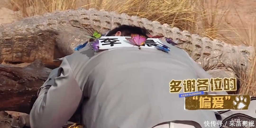 郑恺 《奔跑吧》元老成员越来越没劲:李晨装疯卖傻,baby处处被照顾