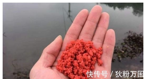 冬季钓鱼巧打窝,学会这几点,冬钓不再是难题