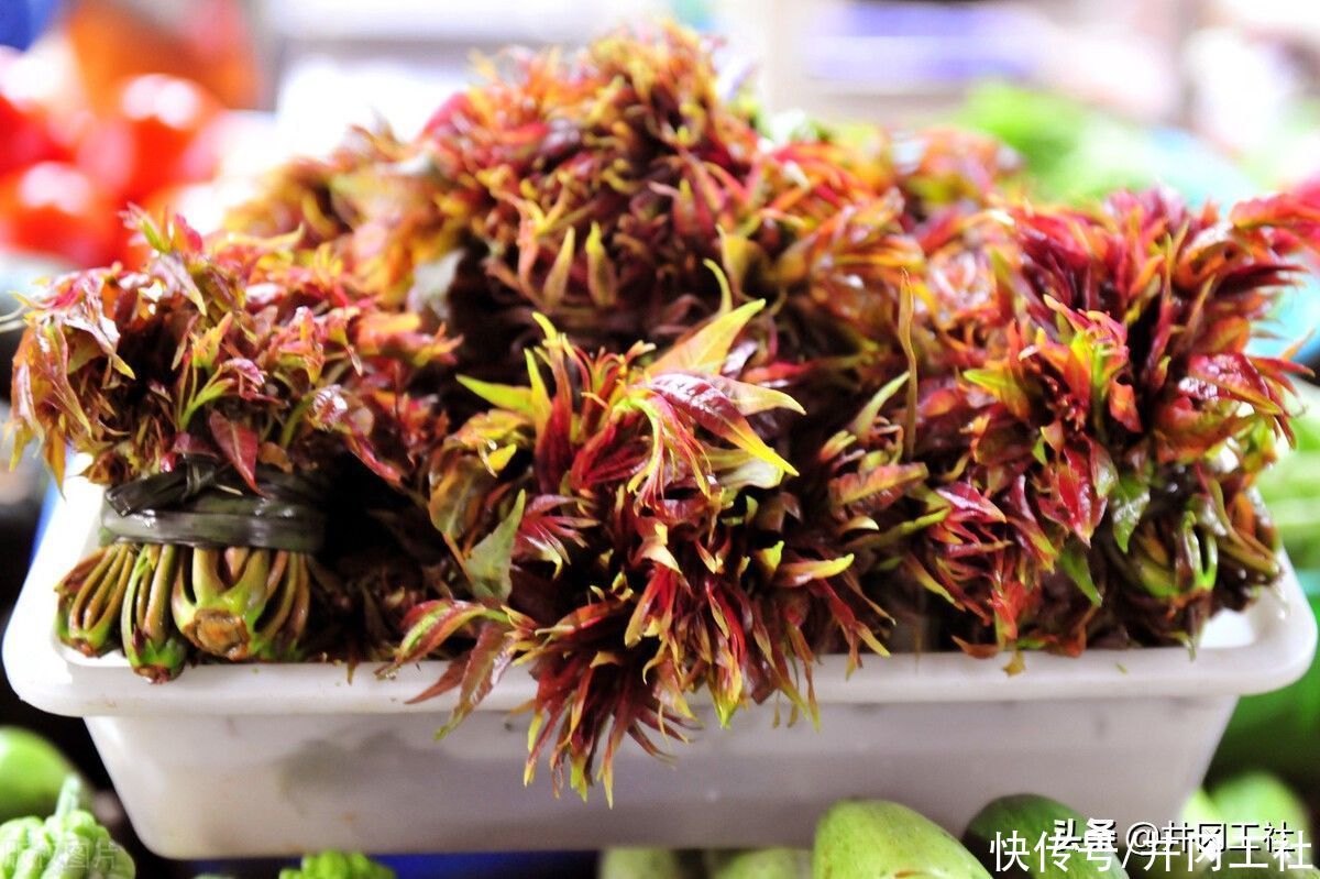 春天必吃的美食，三种香椿家常菜做法，鲜嫩可口，清爽又刮油