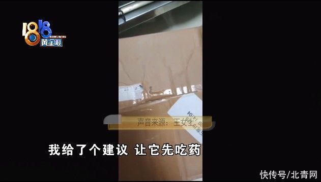 犬瘟|“感冒”查出得犬瘟，姑娘在意“时间点”