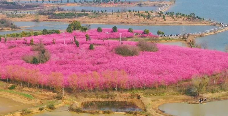 展播|虎年春节活动多，鄂州这些点位等你来打卡