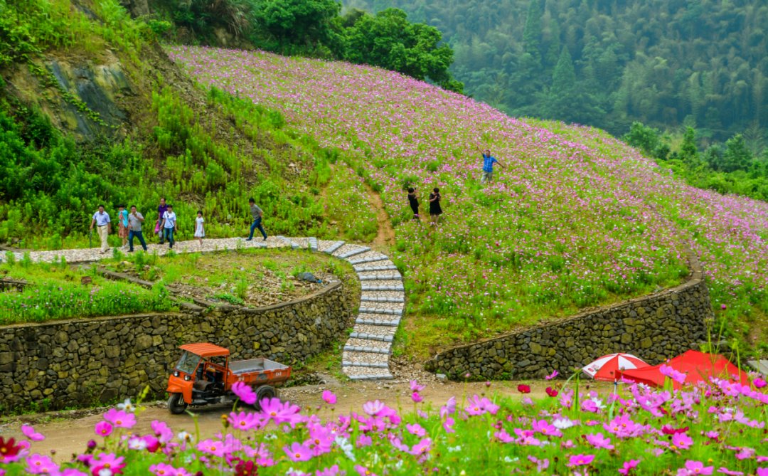 行游泗洲头山海之间，偶遇一个水灵灵的美丽乡村