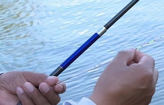 蚯蚓|老钓手教你详细的台钓找底及调漂方法