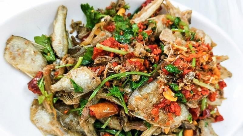 用它喂鸭子|5年长不到3厘米,常误认是河里小杂鱼,价值珍贵却少人知
