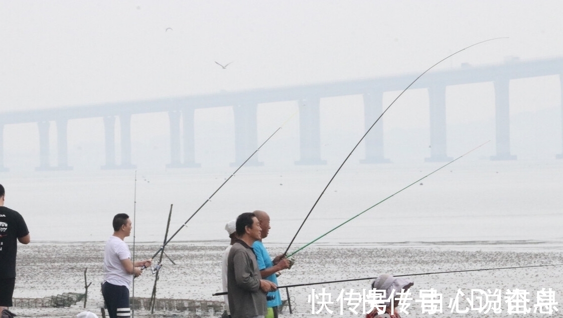 钓鱼人|钓鱼潜规则知多少?这8种大忌不能犯,全做到的算真钓鱼人