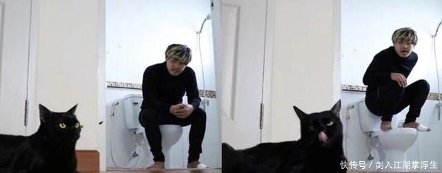 猫眼|泰国小哥最近和猫卯上了,黑猫白猫轮番上,猫眼里都是嫌弃