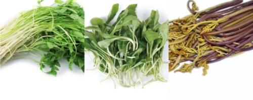 全国|人间真实!全国多人中毒,野菜吃不对,亲人两行泪