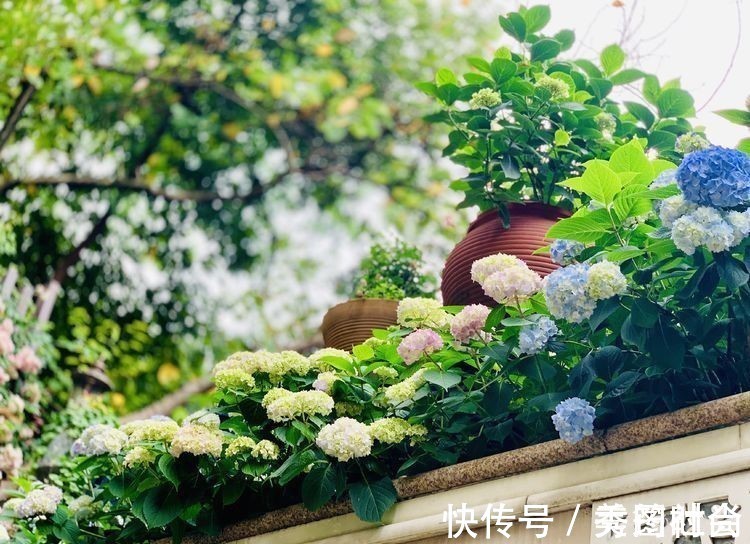 无尽夏|庭院改造:50㎡的下沉式庭院造花园,有地我也建一个,太好看了!