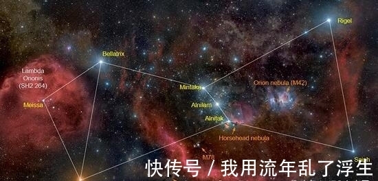 猎户座|不用担心宇宙中“吃盐”的问题了？这个恒星就是个“盐包”？