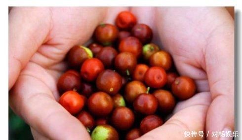 小米小米|天然的“助眠药”来了,睡前吃一点,宁心安神,赶走失眠困扰!