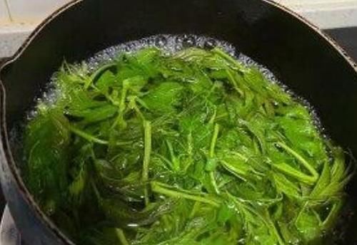 老香椿葉泡水喝的功效