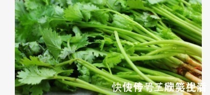 竹笋|再贵都要买来吃的9种健康蔬菜，不需要打农药，常吃远离疾病