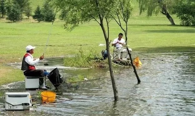 蚯蚓钓鱼不能乱用,教你正确的方法,让你轻松获鱼,实用