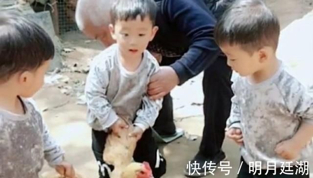 三胞胎|宝妈带三胞胎回娘家,三胞胎正合谋杀鸡,妈妈进门看到乐坏了