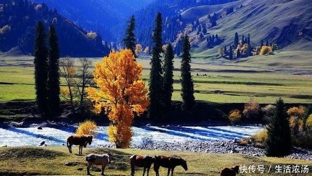 处在中国边疆的伊犁河流域,对中国而言到底有多重要