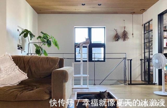 唯美|看了她家之后,治愈了我的抑郁症!小家简单温馨、精致唯美,超爱!