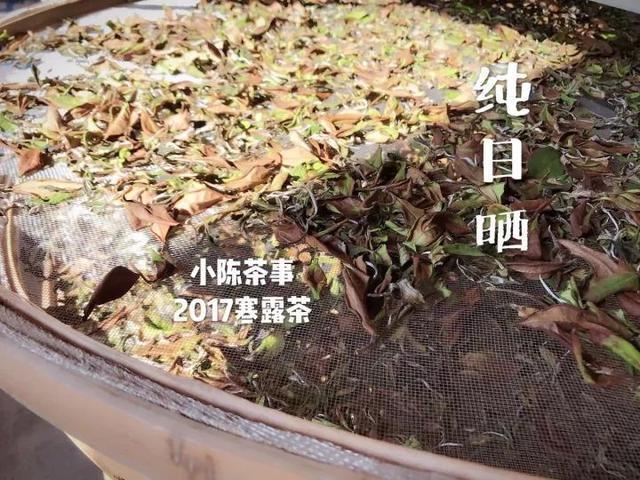 春寿眉$从白茶小白到“略懂”白茶，需要知道哪些基础知识请记牢！