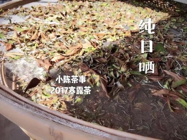 春寿眉$从白茶小白到“略懂”白茶,需要知道哪些基础知识请记牢!