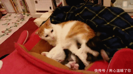 谁这条命,也不是大风刮来的