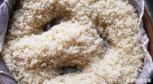 祖传秘方自制甜酒酿,原来如此简单,醪糟在农村可是一辈子的美食