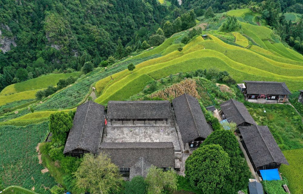 贵州省|大山“微小学”开学了