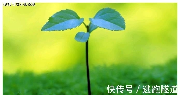 生肖兔属兔|未来7天，有好事发生，财帛如雨，事业不断晋升，福多财旺的属相