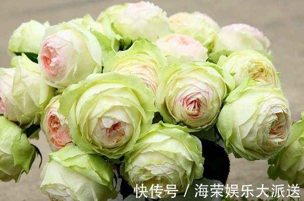 “珍稀玫瑰”幻彩,淡淡的茶香味,花色艳丽,可以说是养花必备