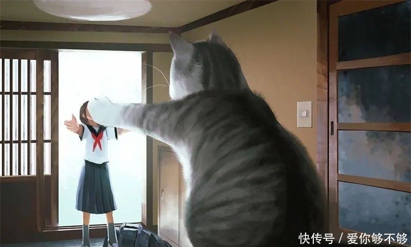 插画|三组各具特色的动物插画,看完很治愈~