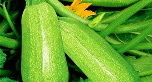 维生素|秋天适合常吃的食物,排出毒素,净化血液,预防子宫早衰