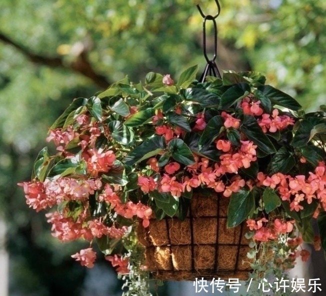 任何容器都能用来做花盆,请收好这30种美丽的花盆搭配设计