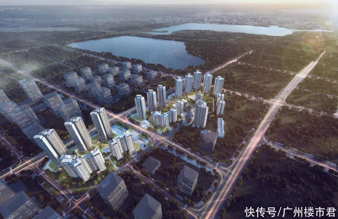 户型|楼市洗牌之年，它凭何穿透周期，逆市登顶？