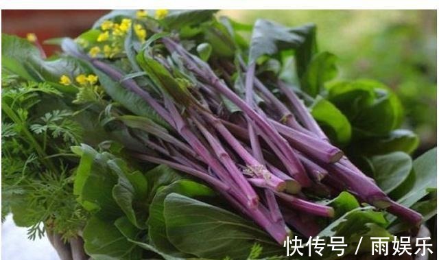 延缓衰老|女性不想老太快,适合吃四种食物,美白润肤,延缓衰老,好处多多