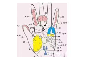 肘窝|百补也无用?每天这样5分钟,轻松疏通五脏经络,学会全家人受益