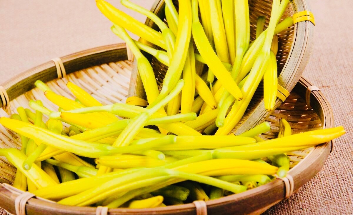 宫菜|女性宫寒,易得妇科病!多食此“暖宫菜”,宫寒没了,失眠病好了