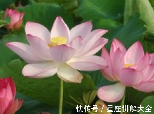 土生金生财局|从9月份开始，4属相桃花朵朵开，喜事接二连三，生活蒸蒸日上