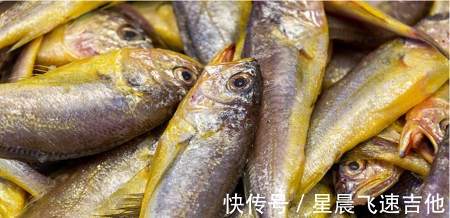 海岛|光海岛就有1000+个！央视都来直播的小城，7月能偶遇梦幻的荧光海！