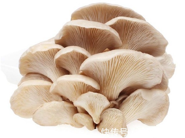 降脂|此菜是夏天里的“消炎菜”,3种吃法,降糖、降脂、提高免疫力