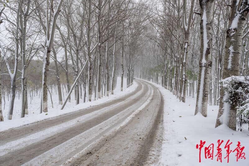 北京故宫博物院|北京初雪迎立冬