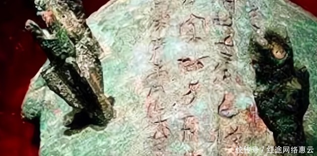 老汉钓到“金乌龟”:一杆出奇迹,专家估值最少18个亿