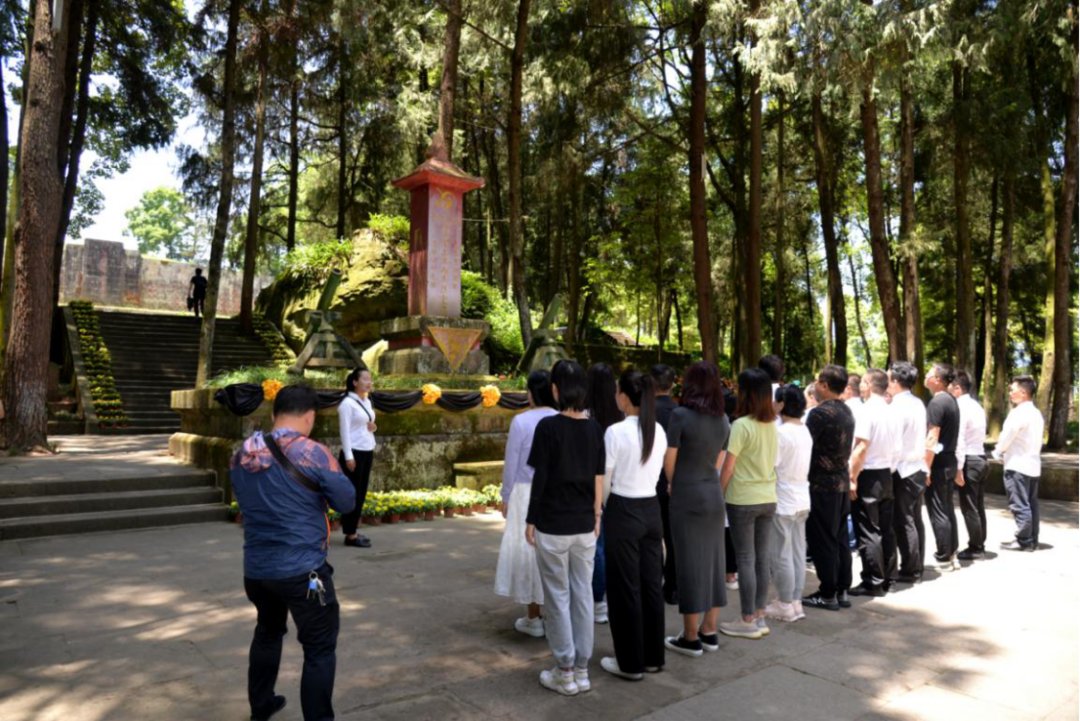 通江|40余名川陕渝网红达人打卡四川通江