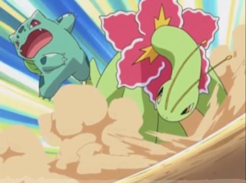 剧本|小智最机智的草系宝可梦,不进化的它仿佛已经看了10年后的剧本