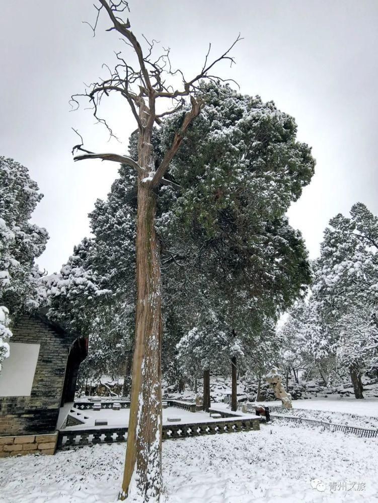 庚子年冬月，在青州古城听雪落下的声音～