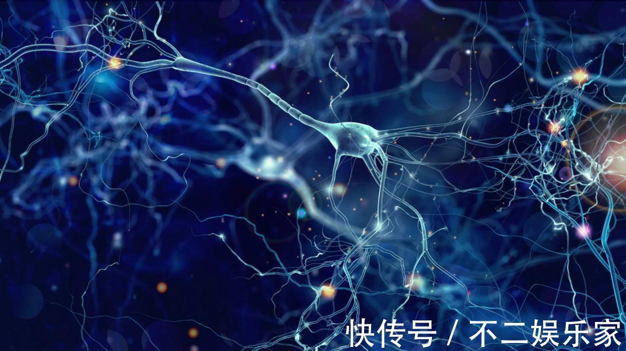 高血脂|脑科医生：脑梗死的祸根找到了，赶紧把这“四物”撤下餐桌