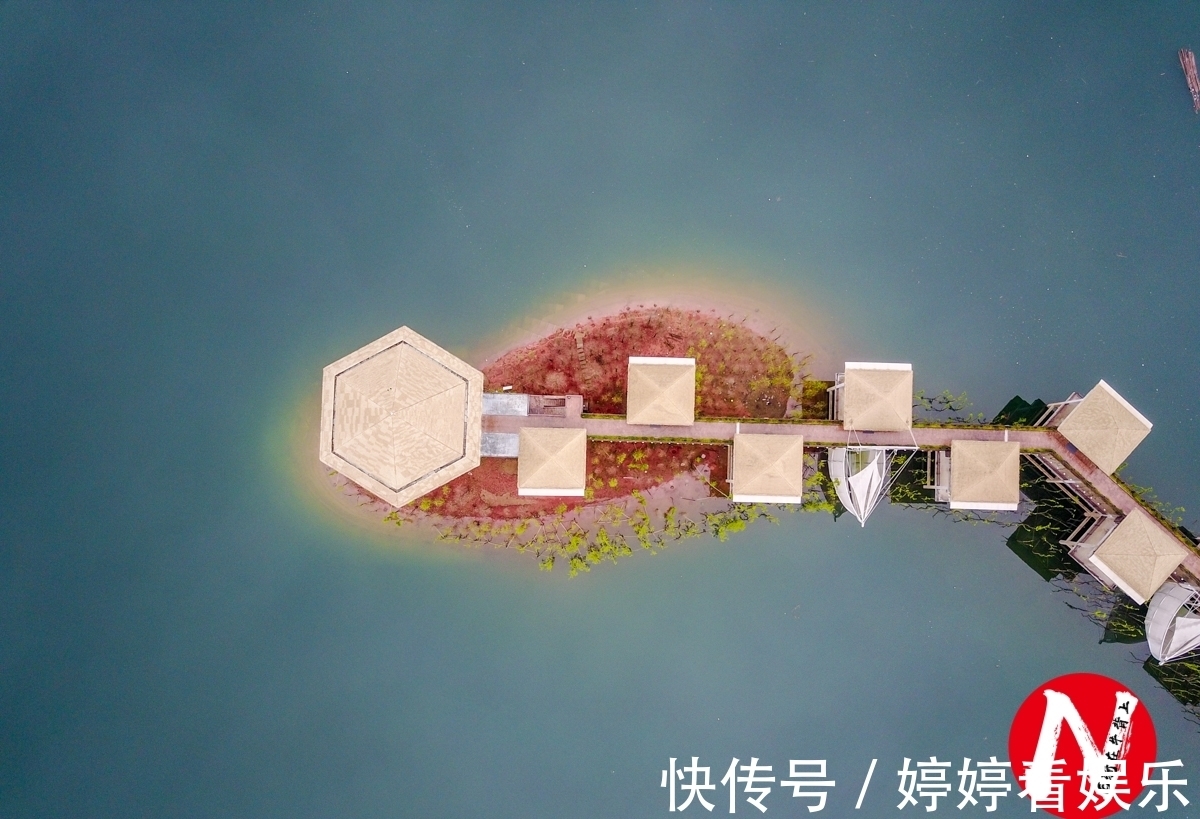 白鸥|浙江省第二大人工湖，面积0.26万公顷，风光如画丝毫不输千岛湖